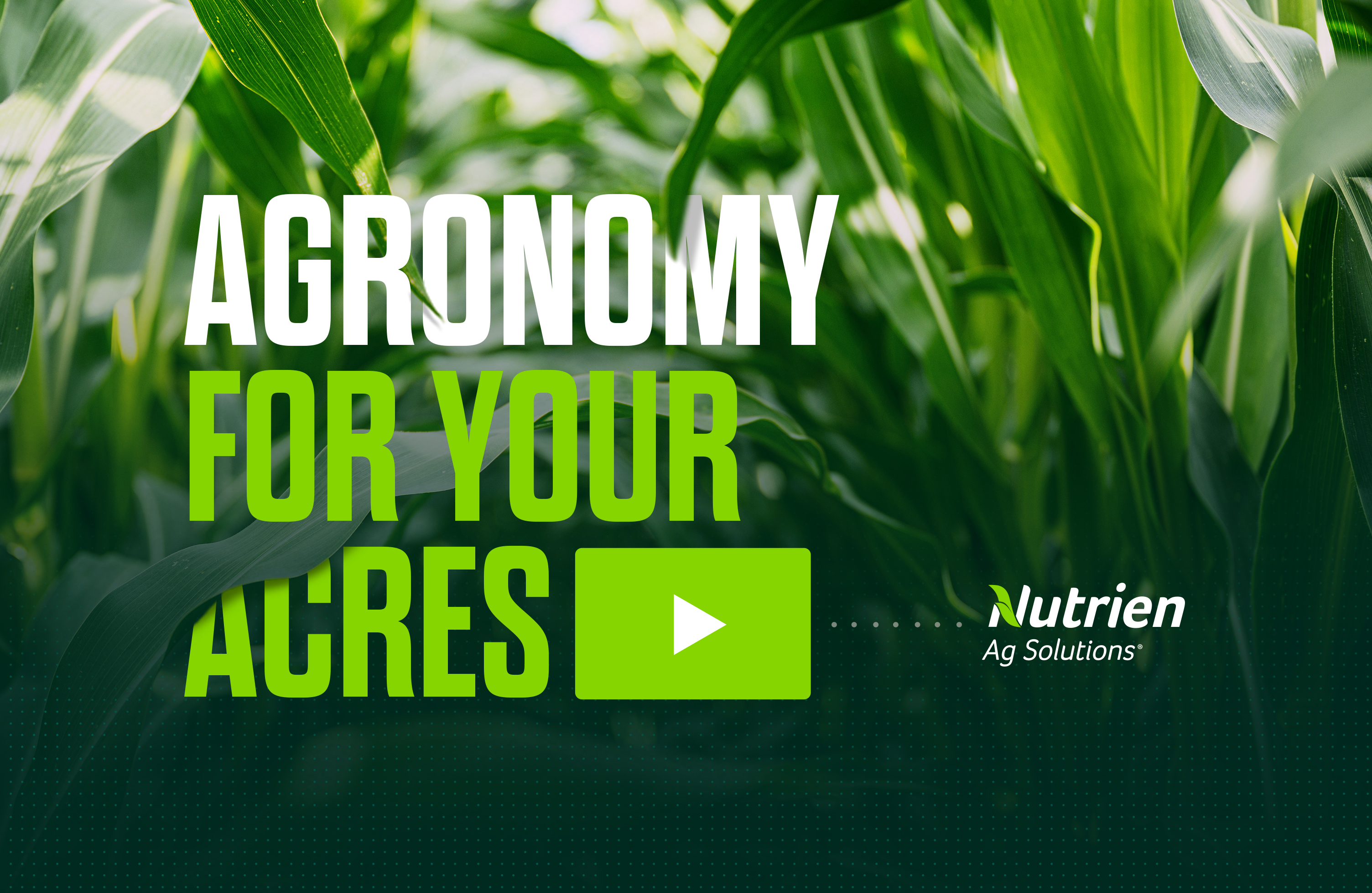 Agronomy for your Acres - Episode 18 Jordan Howe