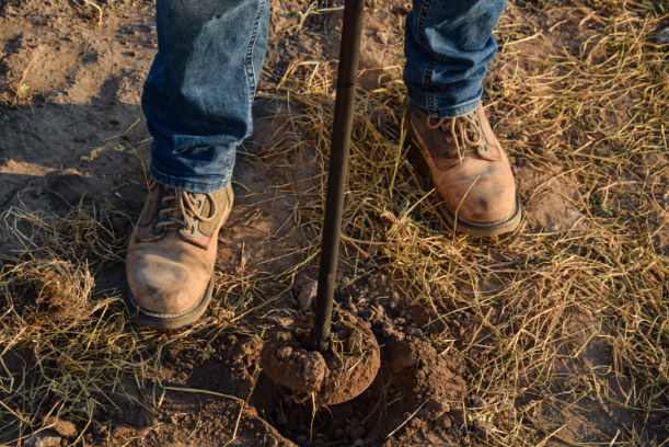 Soil Sampling