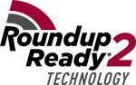 Roundup ready-2 technology